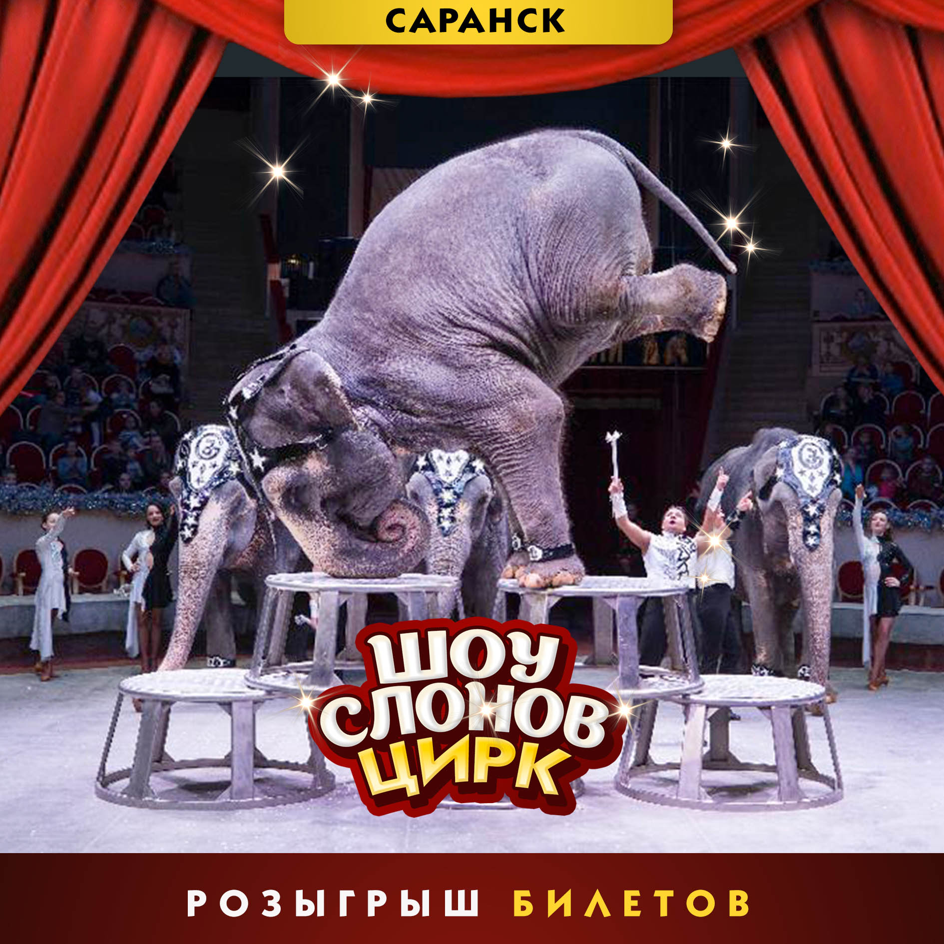 Цирк шоу слонов братьев Гертнер в Саранске