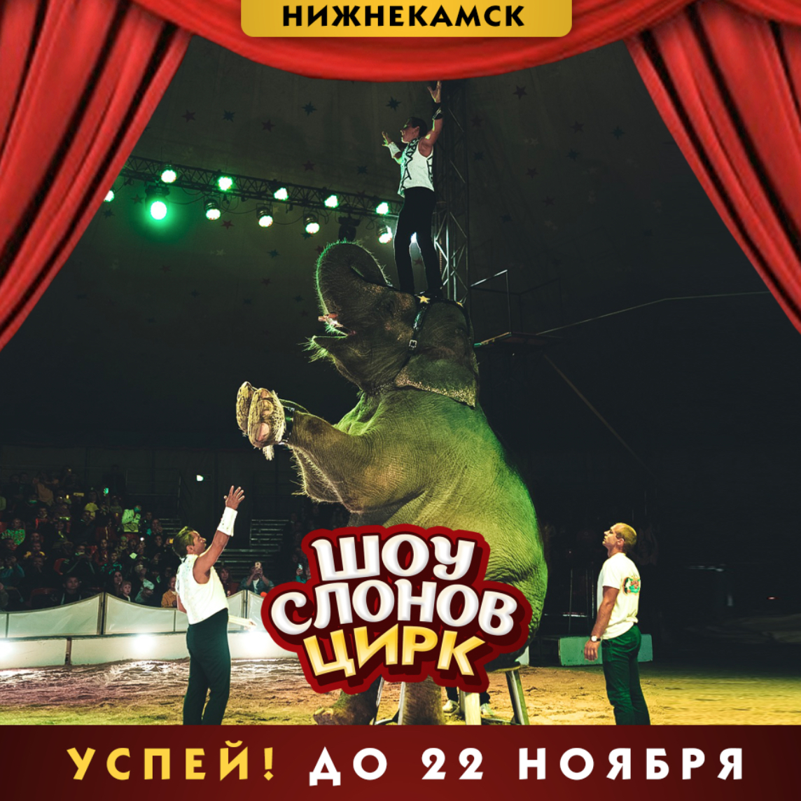 Цирк шоу слонов братьев Гертнер в Нижнекамске с 7 ноября 2020