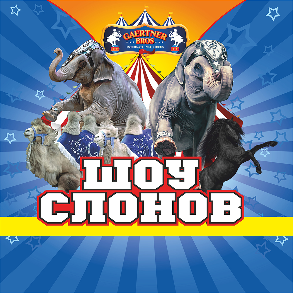 Цирк шоу слонов братьев Гертнер в Кузнецке с 25 июня по 4 июля 2021